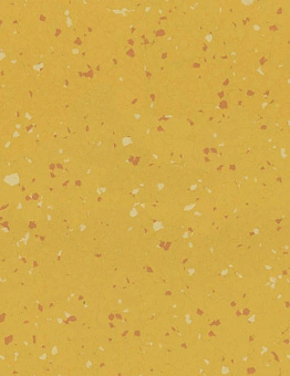 Linoleum Linoleum Sphera Star T