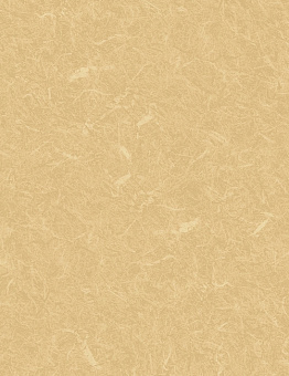 Acoustic 7 Silver Knight