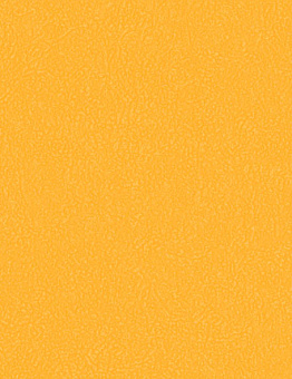 Grabo Sport Xtreme 80