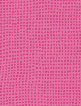 Taralay Initial Compact