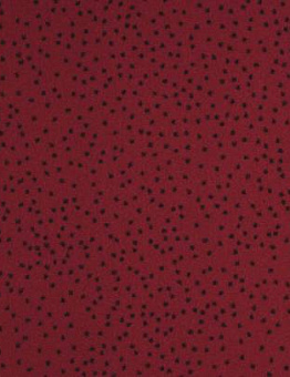 Carpet Constellation