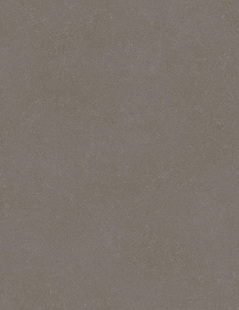 ACCZENT FORTO Linoleum