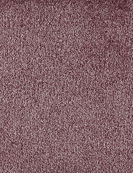 Carpet Sense Highlights