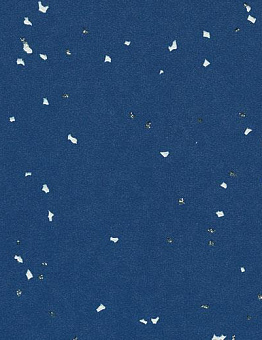 Sphera Evolution Linoleum