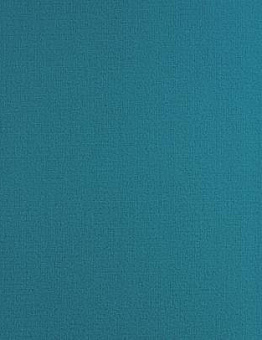 Carpet Résidentiel DD