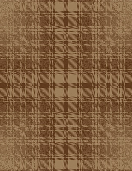 Carpet Inspirations Twist