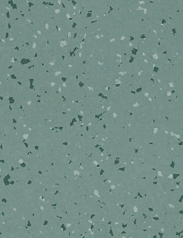 Linoleum Linoleum Sphera Star T