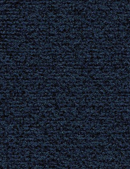 Coral Classic Carpet