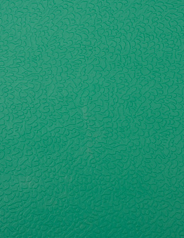 Linoleum Apoluza SportFloor PVC 4.5