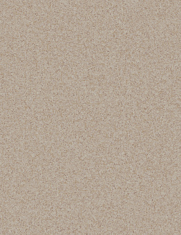 Linoleum Pragmatic Linoleum