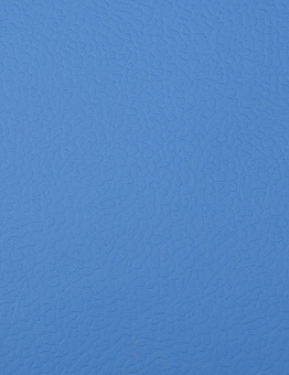Линолеум Apoluza SportFloor PVC 4.5