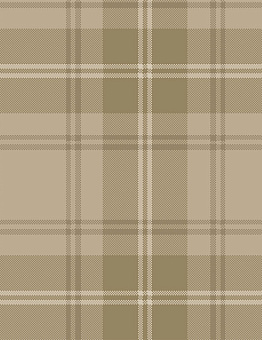 Carpet Inspirations Twist