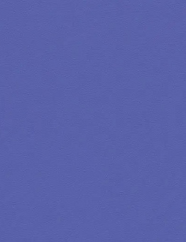 Мodul'up 19db сolour