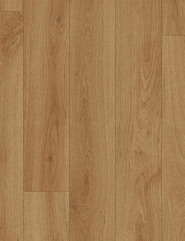 Acoustic 7 Silver Knight