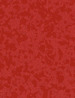 Taralay Premium Comfort