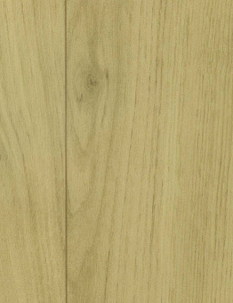 Acoustic 7 Silver Knight