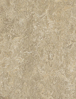 Collection Marmoleum Real 2,50