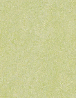 Collection Marmoleum Real 2,50