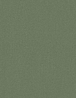 Taralay Impression Comfort Plus