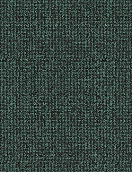 Carpet Carpet Marathon