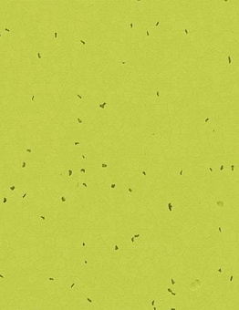 Sphera Energetic Linoleum