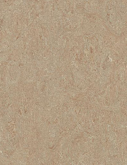 Collection Marmoleum Terra 2,50