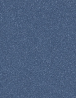 Acczent Pro Linoleum