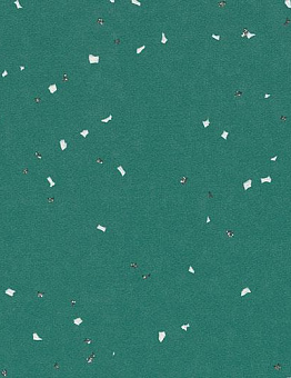 Sphera Evolution Linoleum