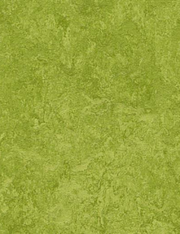 Marmoleum Decibel Linoleum