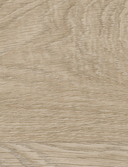 Taralay Initial Compact