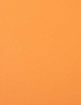 Linoleum Apoluza SportFloor PVC 4.5