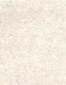 DIAMOND STANDART EVOLUTION