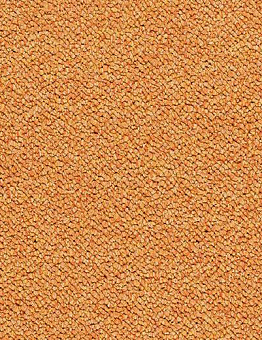 Carpet tiles Chroma Carpet Tiles