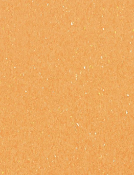 Favorite Acoustic PUR