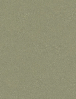 Marmoleum Walton Linoleum 2.50