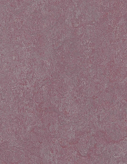 Collection Marmoleum Real 2,50