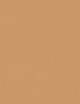 Acczent Pro Linoleum