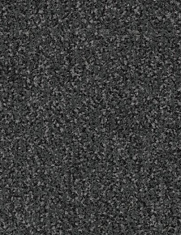 Carpet tiles Coral Interior