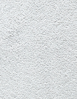 Natural Embrace Carpet