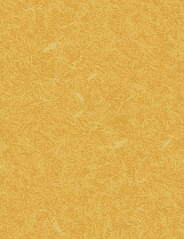 Acoustic 7 Silver Knight