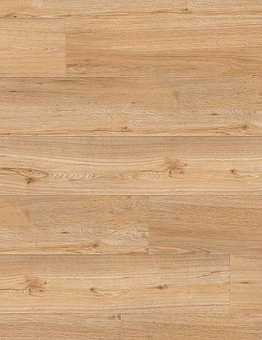 Creation 55 Looselay