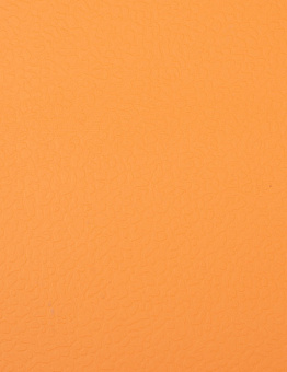 Линолеум Apoluza SportFloor PVC 8.5