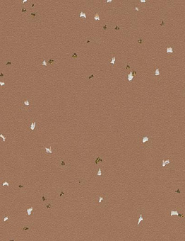 Sphera Evolution Linoleum