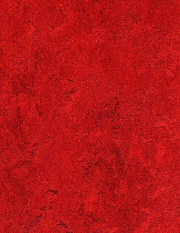 Collection Marmoleum Real 2,50