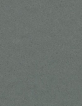Surestep Steel