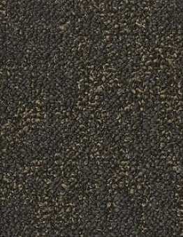 AirMaster Salina Gold