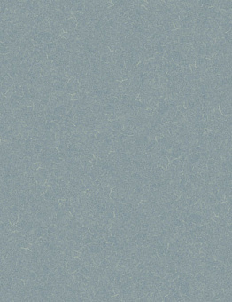 Diamond Tech Silver Knight