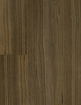 Scala 55 Connect PUR Wood