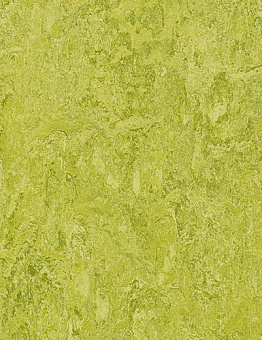 Linoleum Marmoleum Real Of 2.00
