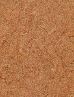 DIAMOND STANDART FORTE